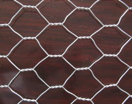 Hexagonal Wire Mesh