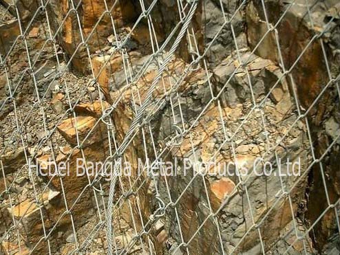 Flexible Slope Protection Netting02