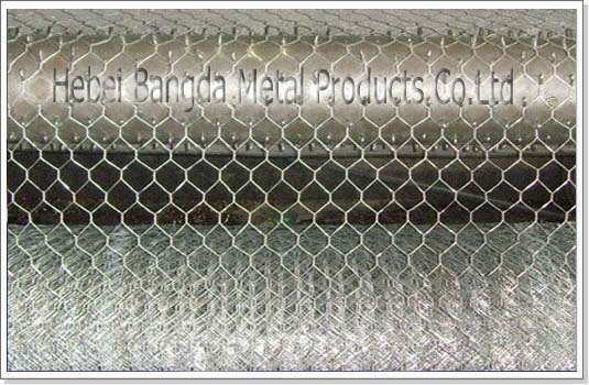 Hexagonal Wire Mesh