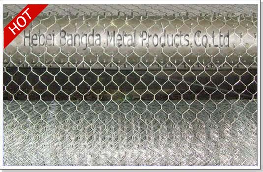 Hexagonal Wire Mesh