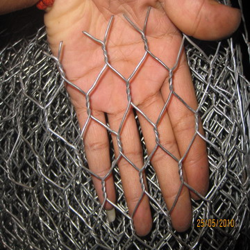 Electro Galvanized Hexagonal Wire Mesh