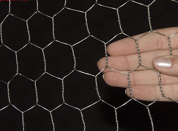 Double Twisted Hexagonal Wire Mesh