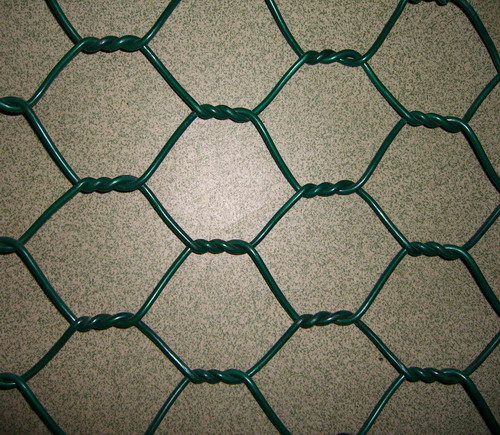 PVC Hexagonal Wire Mesh